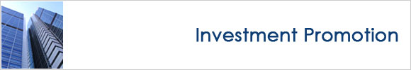 Investment Promotion