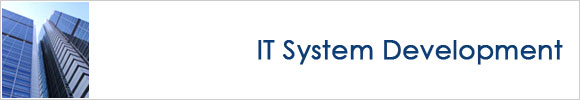 IT System Development